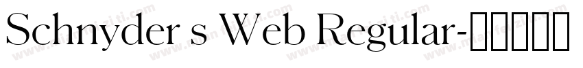 Schnyder s Web Regular字体转换